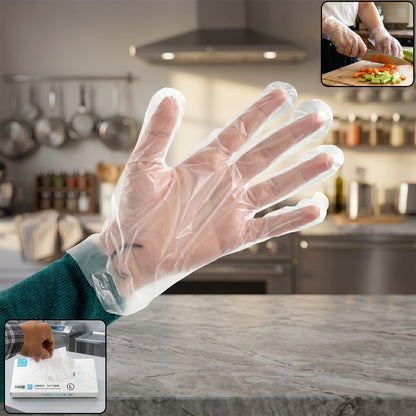 Disposable Plastic Gloves (100 Pc Large)